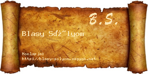 Blasy Sólyom névjegykártya